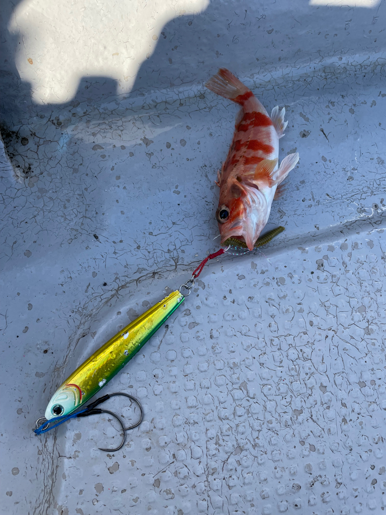 中深海ジギング