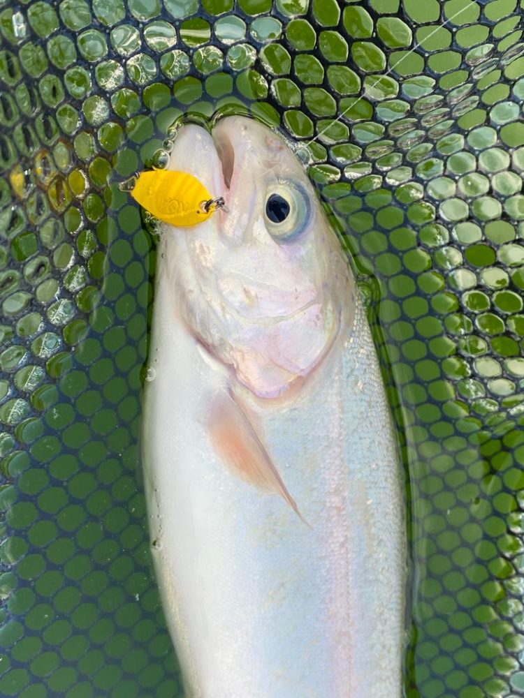 服部緑地攻略戦線