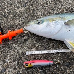 3時間半、撮れ高ゼロを覚悟したその時!