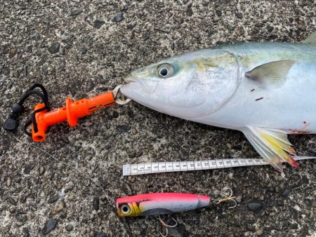 ３時間半、撮れ高ゼロを覚悟したその時！