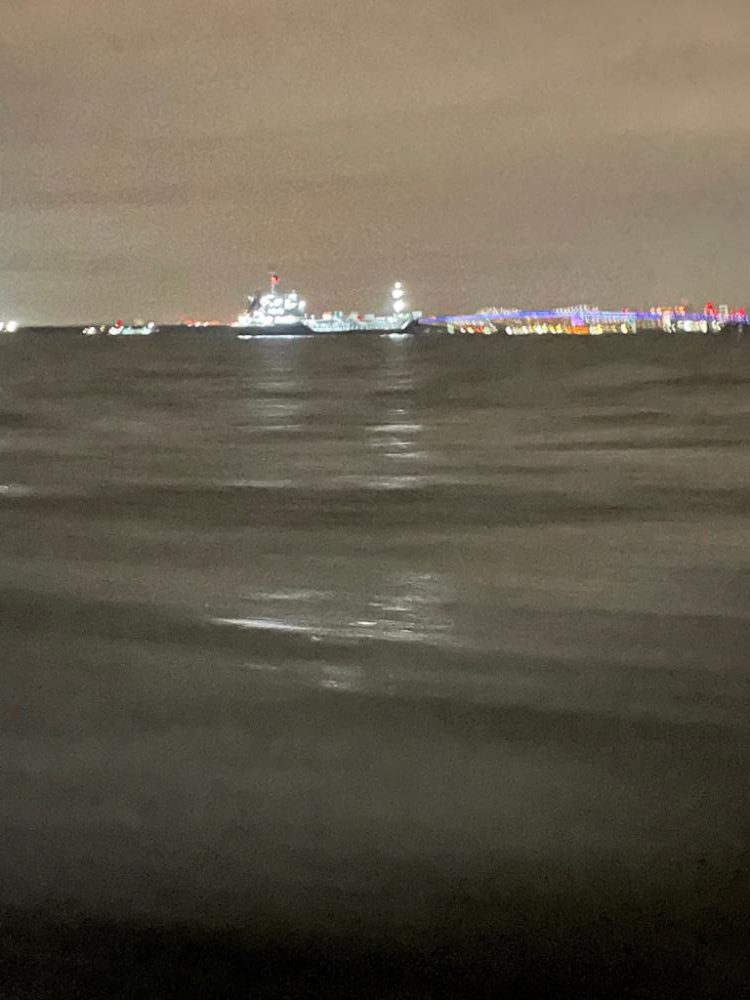 東京湾奥、夜メバル