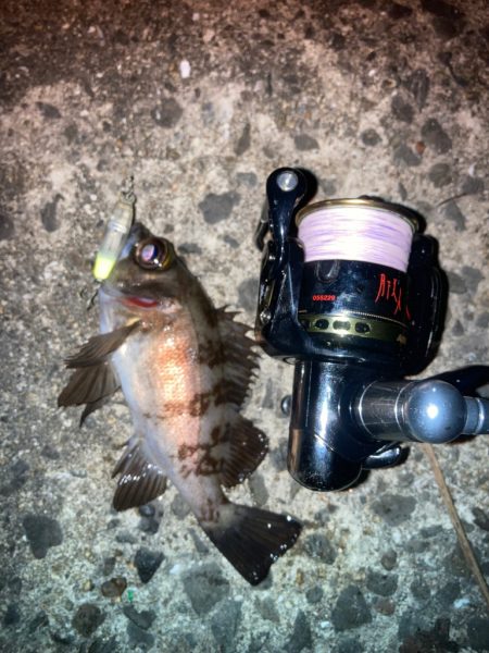 お散歩フィッシング