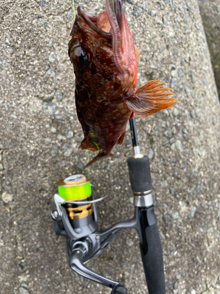 厳しい穴釣り#3