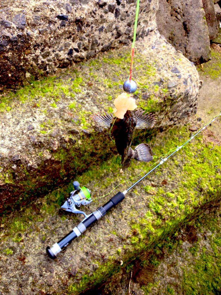 穴釣り 2022 三回目