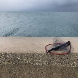 餌巻きエギング!