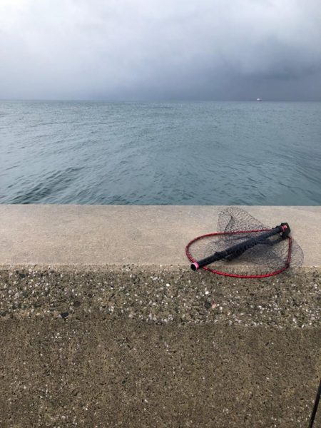 餌巻きエギング!