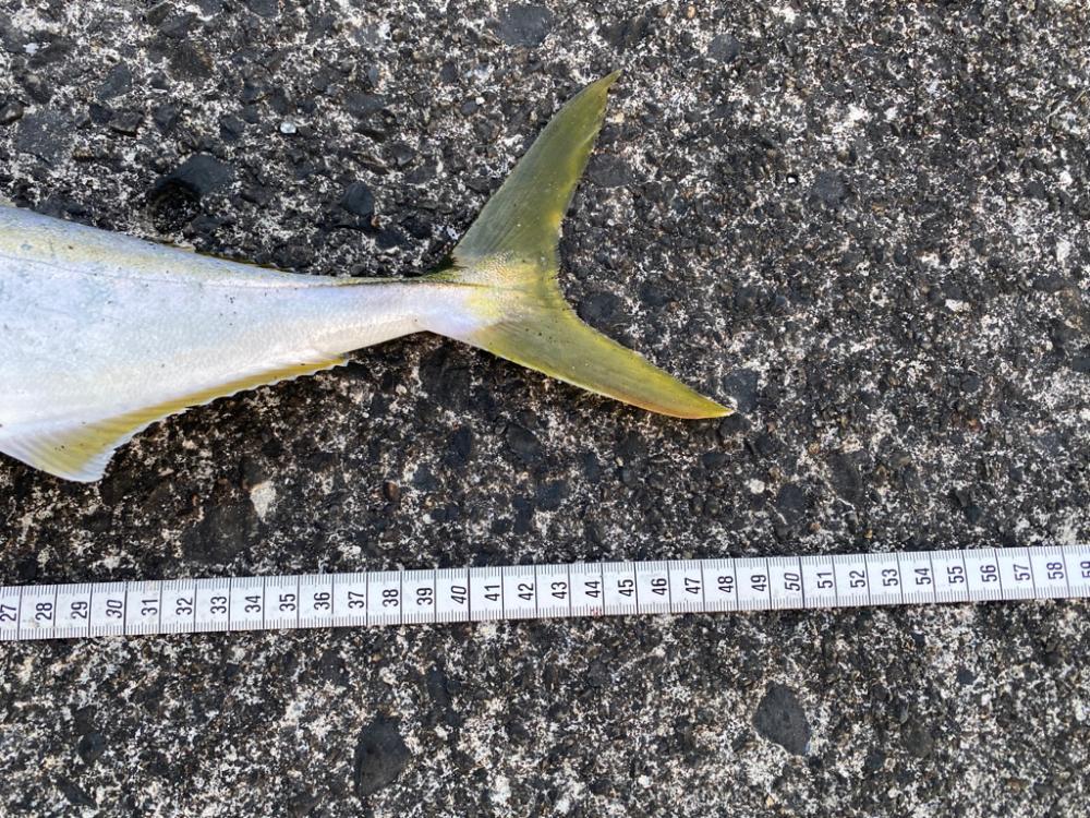 万次郎のポテンシャル