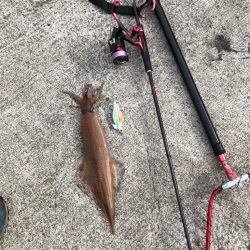 朝9時からの餌巻きエギング！