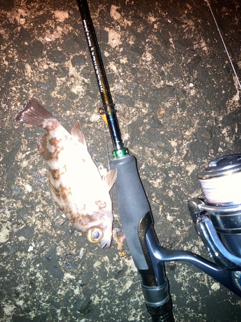 フロートメバリング