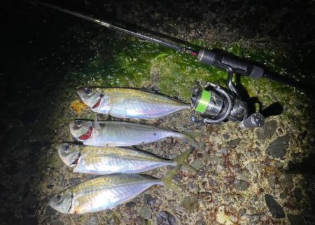 アジングプチ遠征