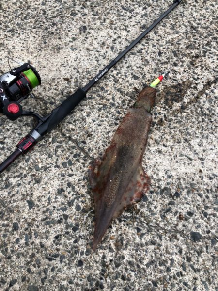 やっとヤリいました〜