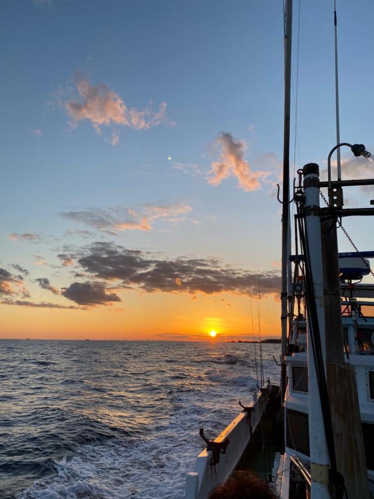 冬のイカメタル