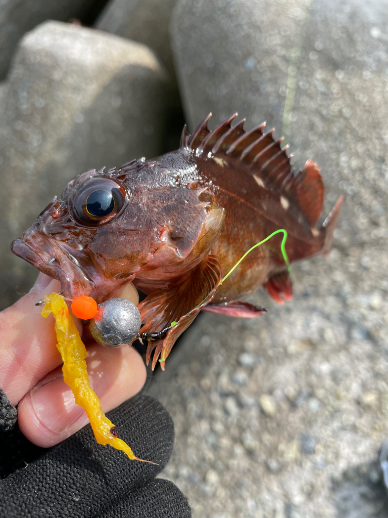 厳しい穴釣り#4