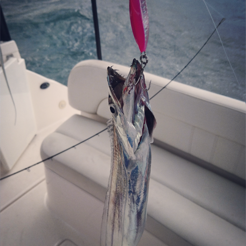 ボートマイクロジギング