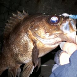 粘り勝ち(笑)市役所