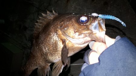 粘り勝ち(笑)市役所