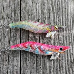 今年初エギング中。朝イチで2杯。10杯くらいの群れから引っこ抜いたった。