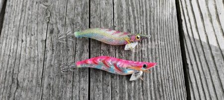 今年初エギング中。朝イチで2杯。10杯くらいの群れから引っこ抜いたった。