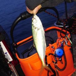 周りが釣れていない中で