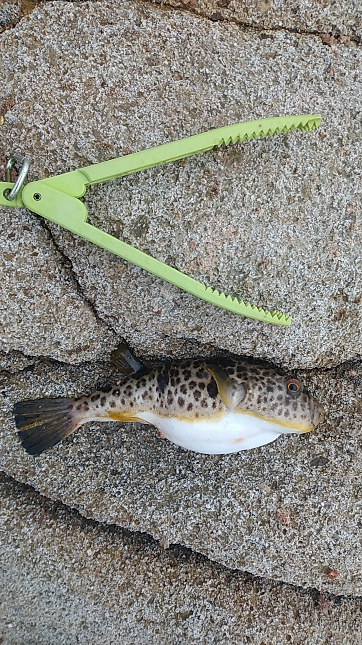 みぞれが降る爆風の中での釣行