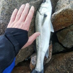 大塩海岸の投げ釣り