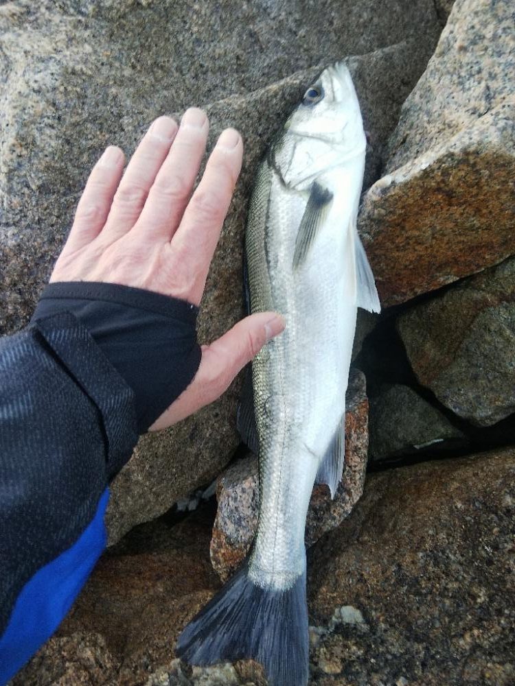 大塩海岸の投げ釣り