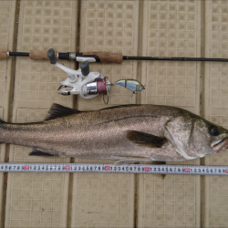 ボートシーバスゲーム