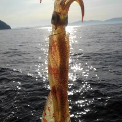 ヤリイカエギング！