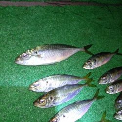 北西風を避けて