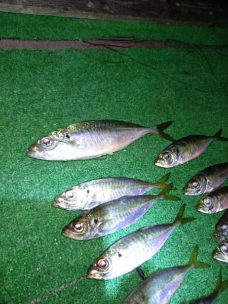 北西風を避けて