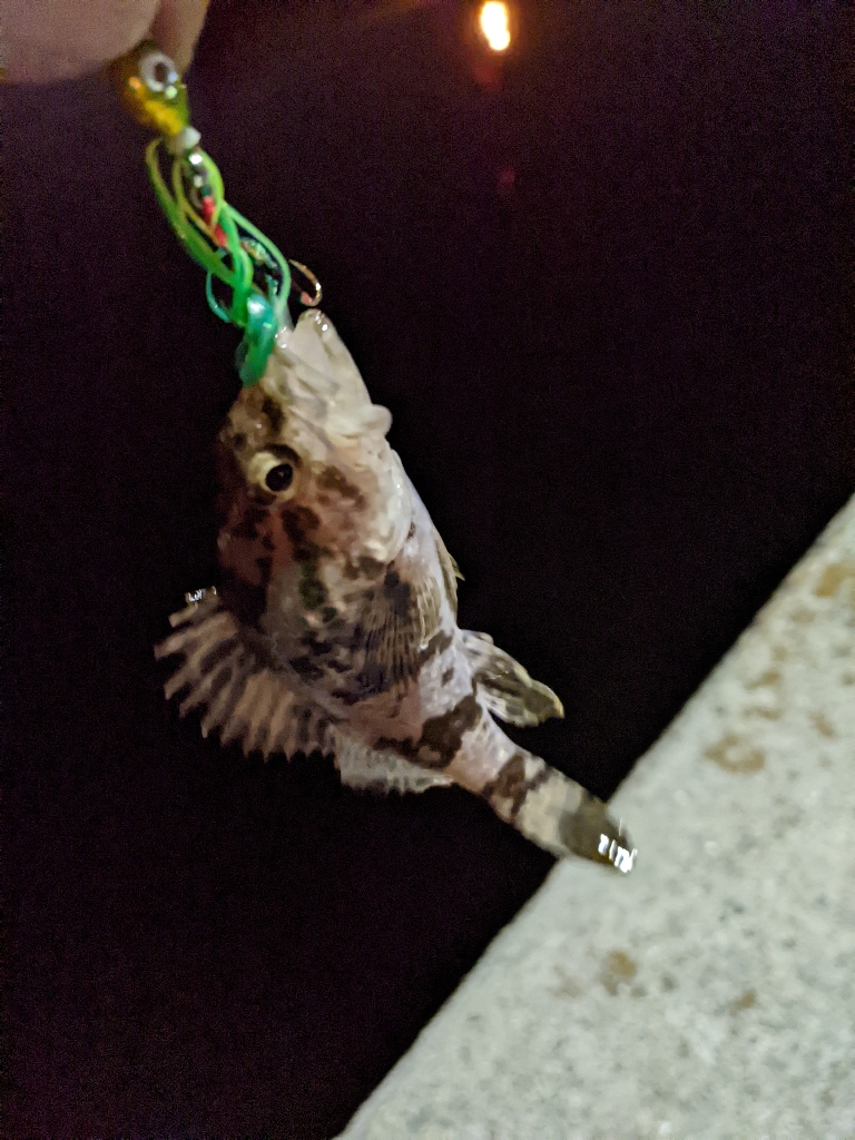 初めて使うルアーで