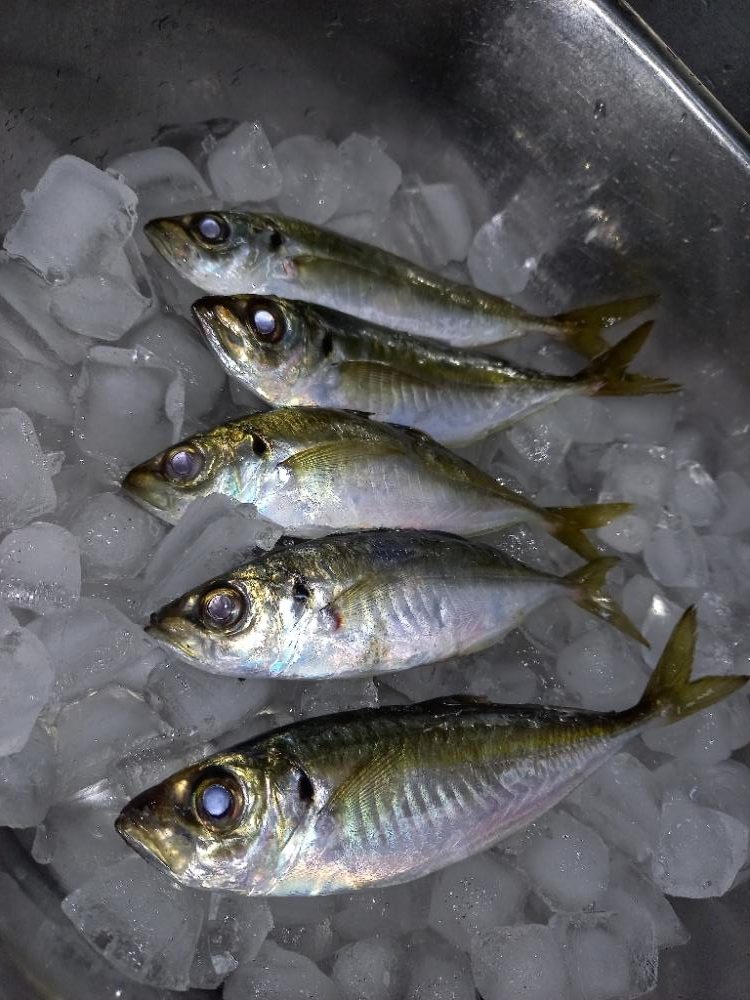 条件が悪いなか