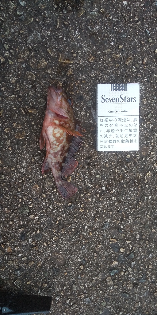 のんびり穴釣り