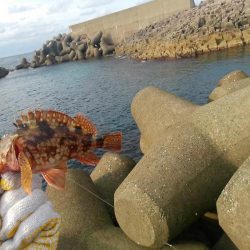 長橋でビックリ！！大物現る