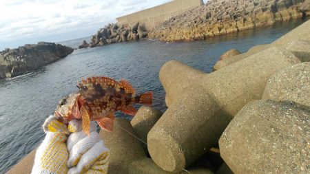 長橋でビックリ！！大物現る