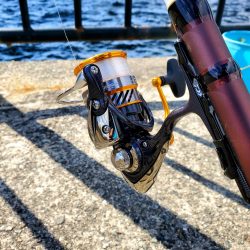 それでもやっぱり会いに行く。