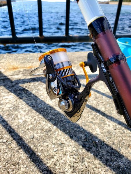 それでもやっぱり会いに行く。