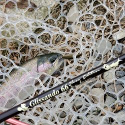 既成概念崩壊釣行記