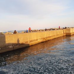 久慈港でのちょい投げ釣り