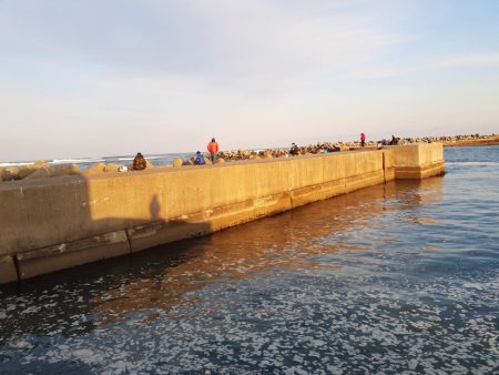 久慈港でのちょい投げ釣り