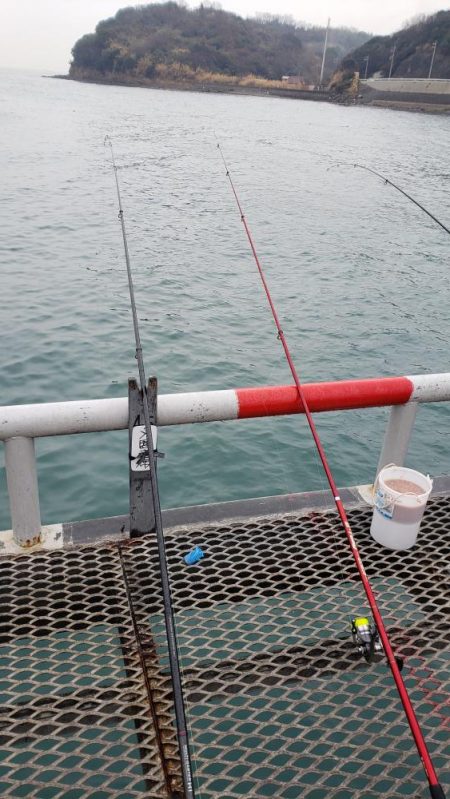 息子の勝利です！