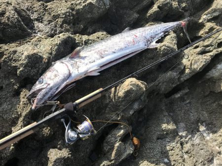 サワラ110cm 1匹釣れました