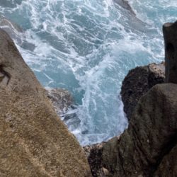 爆風ヒラスズキ