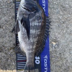 イチノ兄弟、釣果!