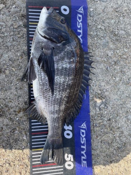 イチノ兄弟、釣果!