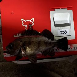 メバリングフロート