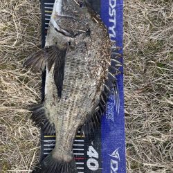 イチノ兄弟、釣果！