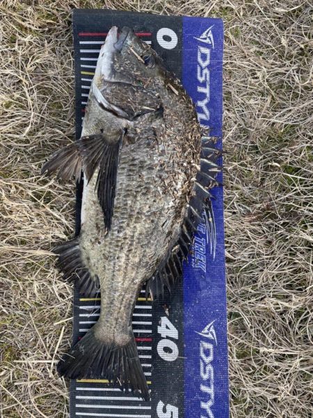 イチノ兄弟、釣果！