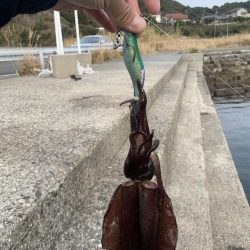 エギング釣行④(プチ温泉旅館付)