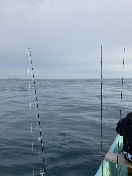 伊島近海で青物